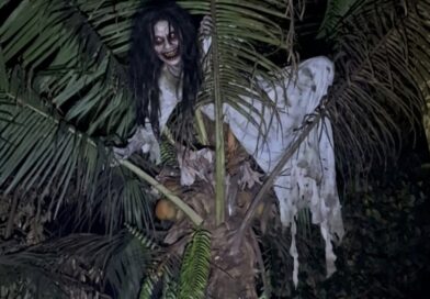 Kuntilanak Pohon Kelapa